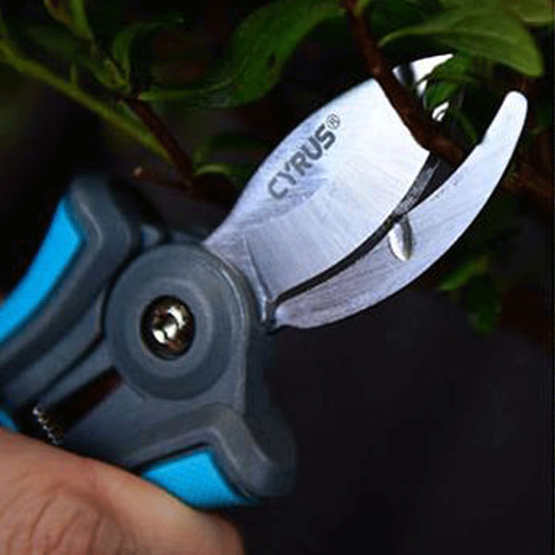 blade cuting houseplant pruner