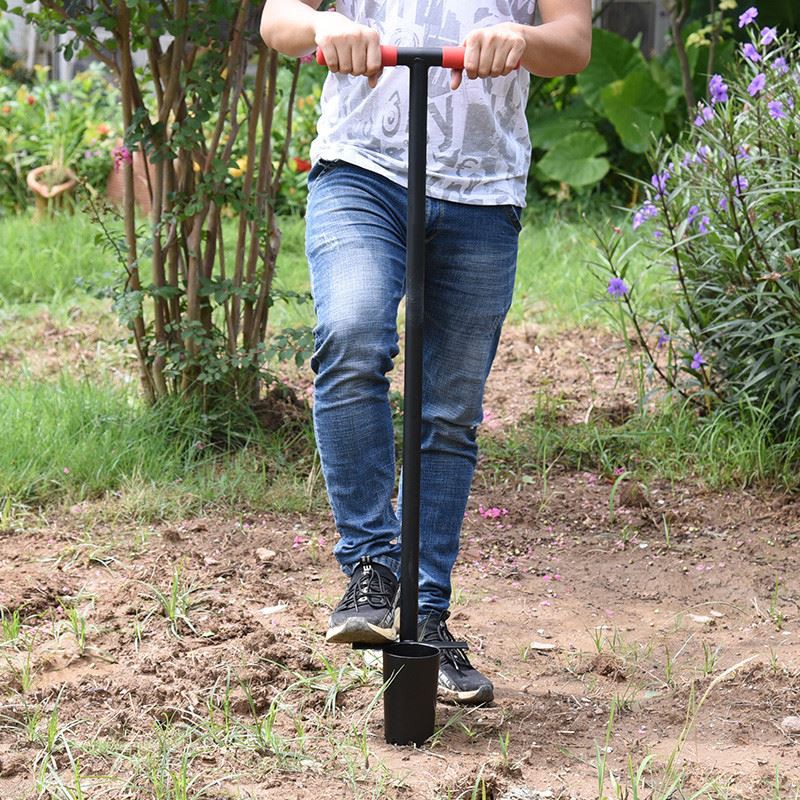 planting bulbs in planters