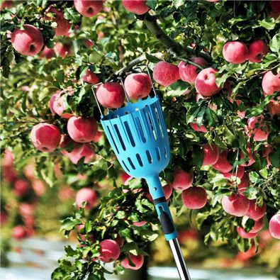Apple fruit picker pole with basket Apple fruit picker pole with basket