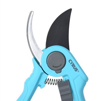 LOGO รูปแบบต่างๆ ที่แรดใช้กันทั่วไป