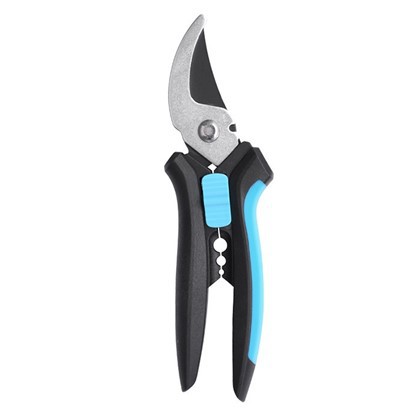 มือบายพาสมือ