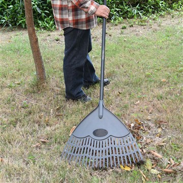 เราจะดูแล Vinca อย่างไรในฤดูหนาว?