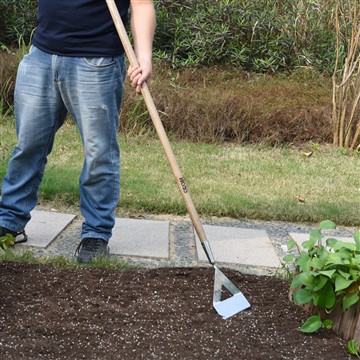 ประโยชน์ของการเริ่มต้นสวนผัก