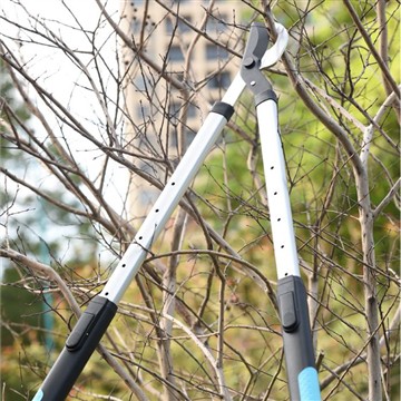 การตัดแต่งกิ่งและการตัดแต่งกิ่ง: ดูแลครอบครัวของฉัน