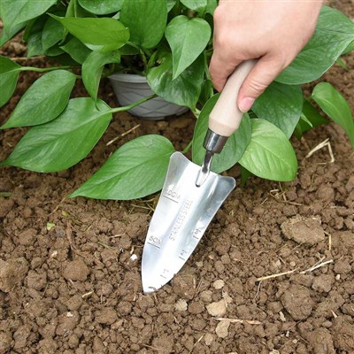 ไดอารี่การปลูกสวน -1