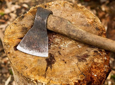 เครื่องมือตัดต้นไม้และอุปกรณ์นิรภัย