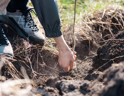 ขั้นตอนที่สนุกสนานในการขุดราก