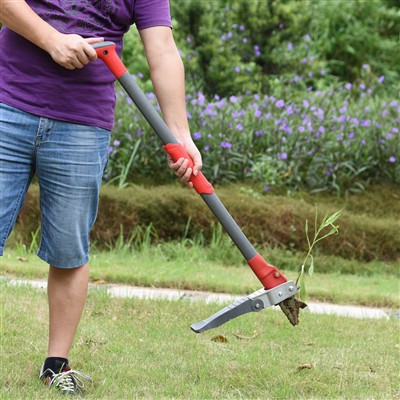 ยืนขึ้น Weeder เพื่อกำจัดวัชพืชอย่างง่ายดาย