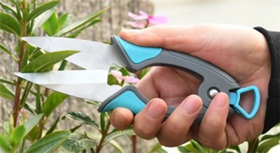 Secateurs และ Pruners