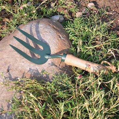 การผจญภัยในชีวิตประจำวันของ The Garden Tools