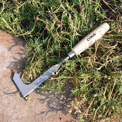 วิธีการใช้เครื่องมือกำจัดวัชพืชตามซอกซอนอย่างถูกต้อง