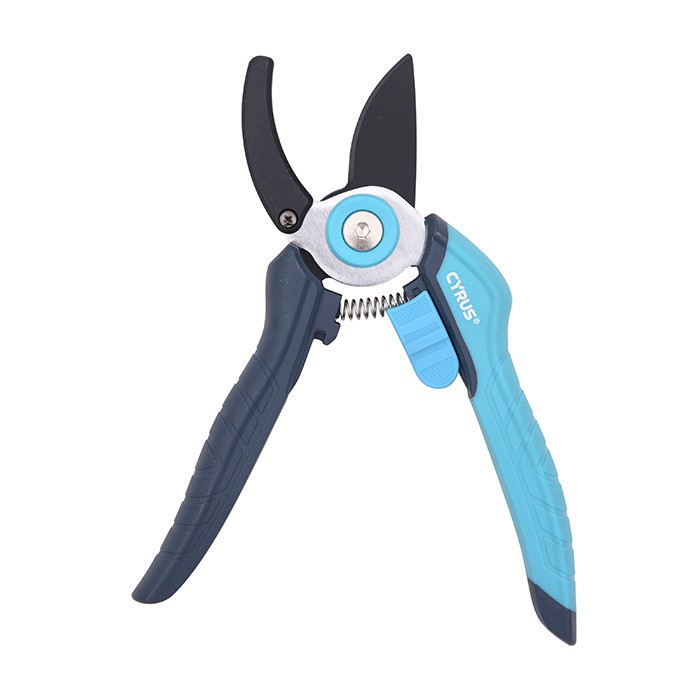 ทั่งบายพาส Secateurs