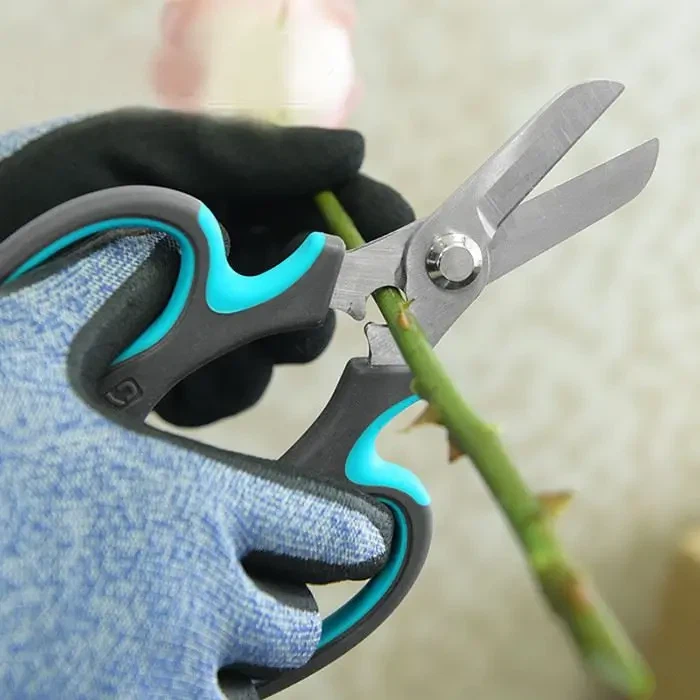 กรรไกรตัดแต่งกิ่งและดอกกุหลาบจะเข้ากันได้อย่างลงตัว