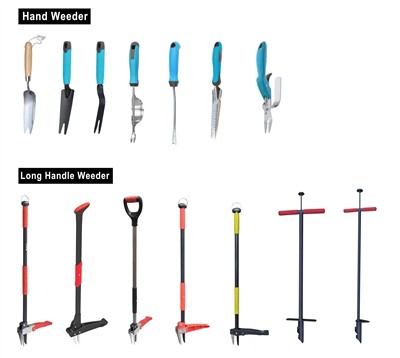 การเพาะปลูกสีเขียว: การยอมรับความยั่งยืนในสวนของคุณ