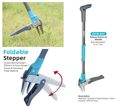 ร่วมเฉลิมฉลองเทศกาลไหว้พระจันทร์ทั่วโลก: ความกลมกลืนระหว่างประเพณีและเครื่องม...