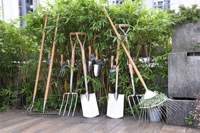 สิ่งที่ผู้ซื้อ B2B ควรมองหาเมื่อประเมินผู้ผลิตเครื่องมือทำสวนแบบแมนนวล