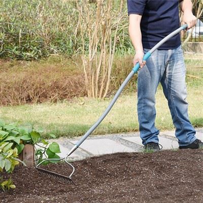 14 คราดธนูไทน์